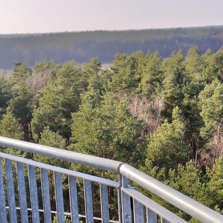 Waldhaus Hilde Villa Suderburg Bagian luar foto