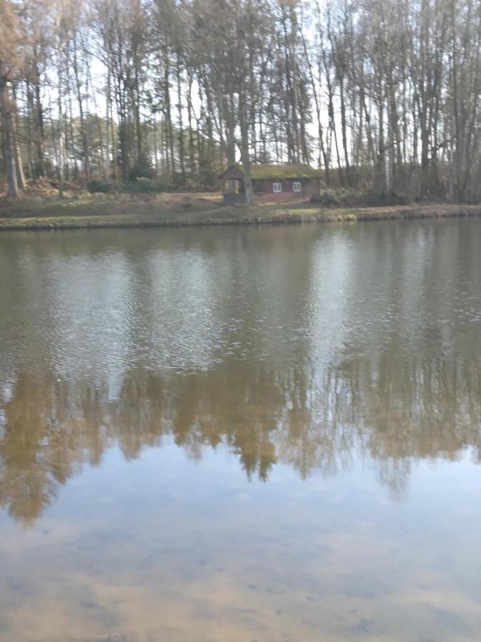 Waldhaus Hilde Villa Suderburg Bagian luar foto
