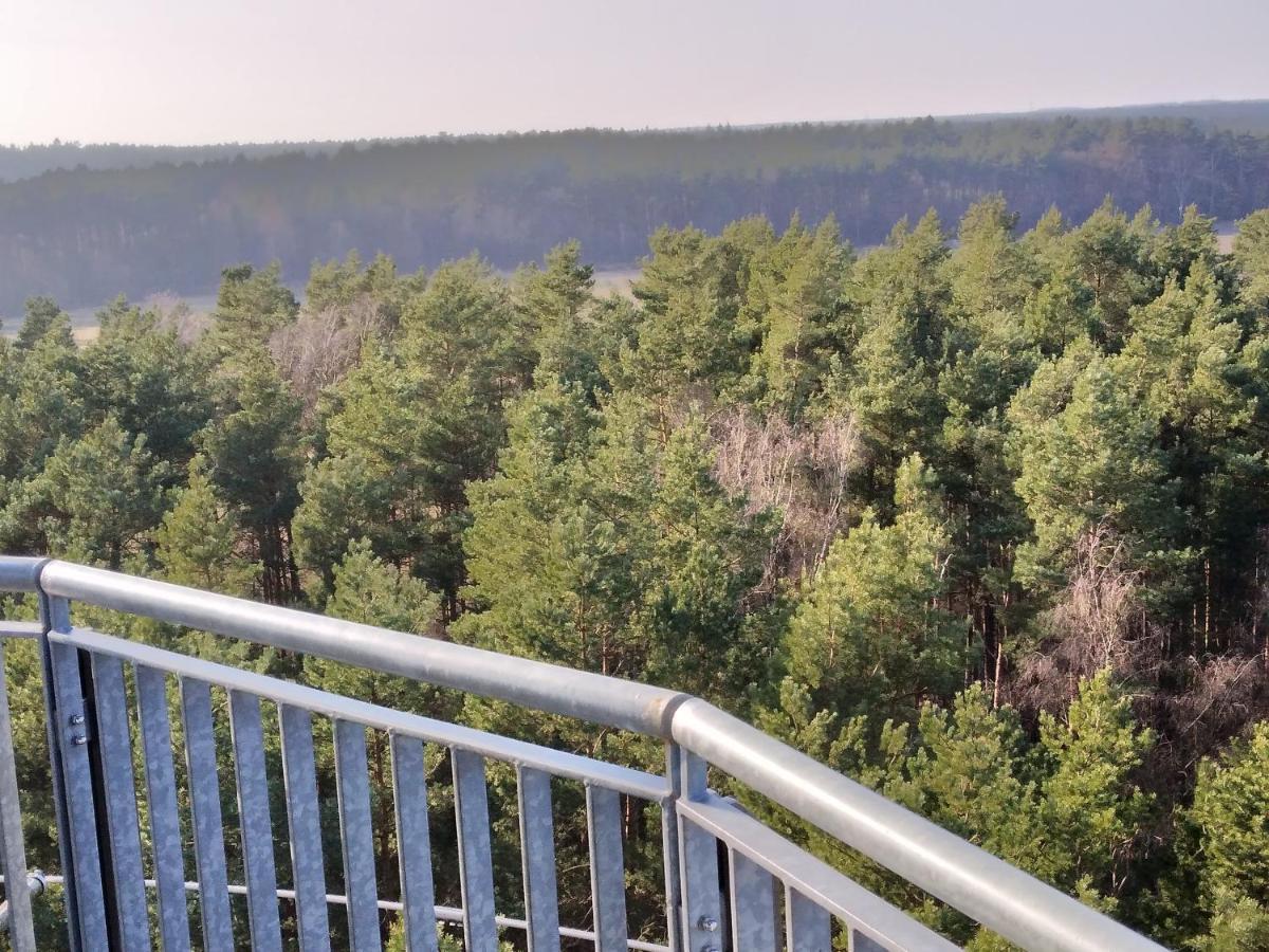 Waldhaus Hilde Villa Suderburg Bagian luar foto