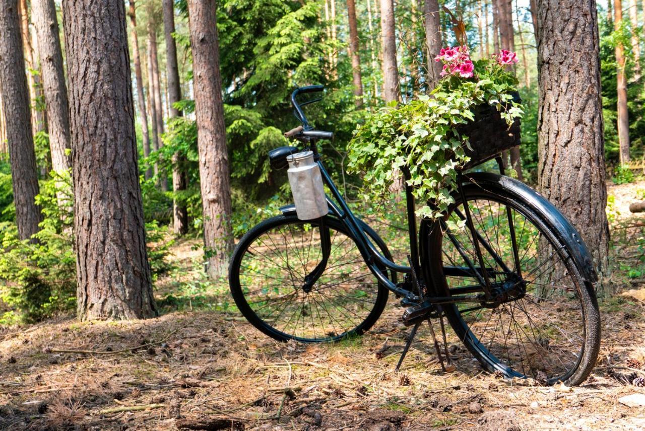 Waldhaus Hilde Villa Suderburg Bagian luar foto